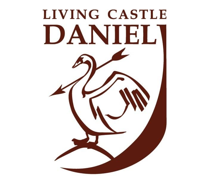 Logo-ul fundației Living Castle Daniel