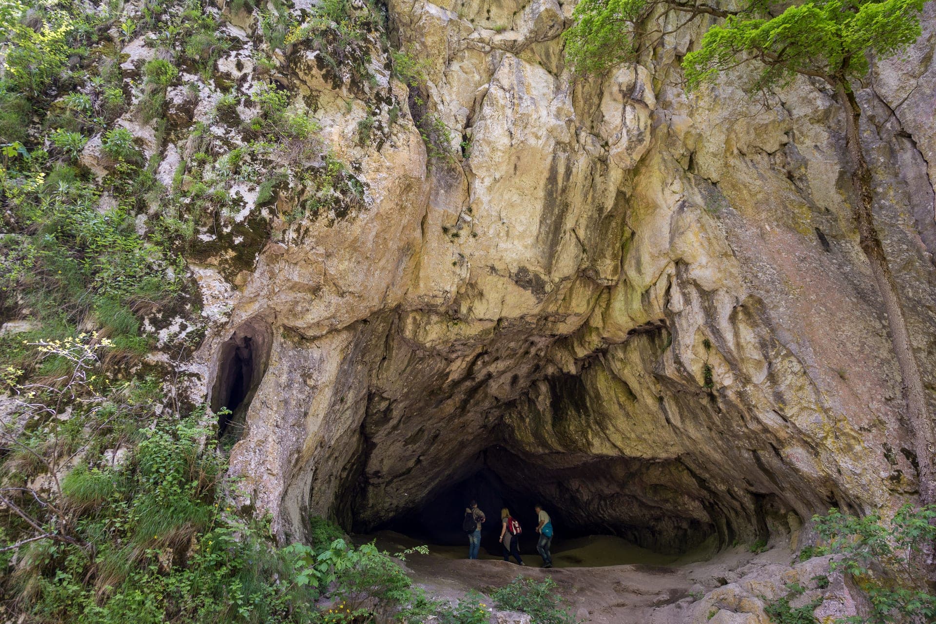 Varghis Gorges - dramatic cave entrance in lush forest